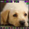 Avatar-animado-Animal-255.gif