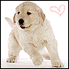 Avatar-animado-Animal-274.gif