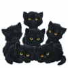 Avatar-animado-Animal-275.gif