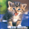 Avatar-animado-Animal-277.gif