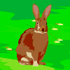 Avatar-animado-Animal-292.gif