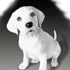 Avatar-animado-Animal-302.gif