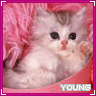 Avatar-animado-Animal-303.gif