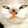 Avatar-animado-Animal-312.gif
