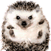 Avatar-animado-Animal-335.gif