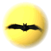 Avatar-animado-Animal-339.gif