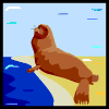 Avatar-animado-Animal-342.gif