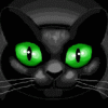 Avatar-animado-Animal-345.gif