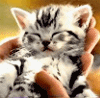 Avatar-animado-Animal-346.gif