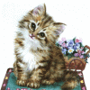 Avatar-animado-Animal-354.gif