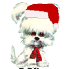 Avatar-animado-Animal-386.gif