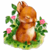 Avatar-animado-Animal-402.gif