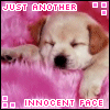 Avatar-animado-Animal-403.gif