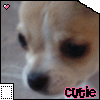 Avatar-animado-Animal-405.gif