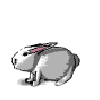 Avatar-animado-Animal-412.gif