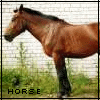 Avatar-animado-Animal-416.gif