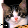 Avatar-animado-Animal-423.gif