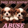 Avatar-animado-Animal-430.gif