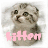 Avatar-animado-Animal-440.gif