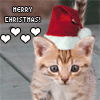 Avatar-animado-Animal-441.gif