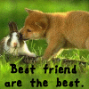 Avatar-animado-Animal-444.gif