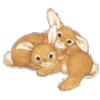 Avatar-animado-Animal-449.gif