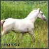 Avatar-animado-Animal-451.gif