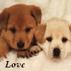 Avatar-animado-Animal-455.gif