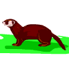 Avatar-animado-Animal-470.gif