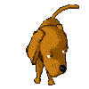 Avatar-animado-Animal-471.gif