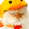 Avatar-animado-Animal-478.gif