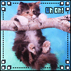 Avatar-animado-Animal-479.gif