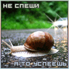 Avatar-animado-Animal-485.gif