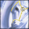 Avatar-animado-Animal-487.gif