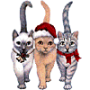 Avatar-animado-Animal-490.gif