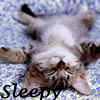 Avatar-animado-Animal-504.gif