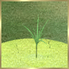 Avatar-animado-Animal-515.gif