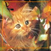 Avatar-animado-Animal-518.gif