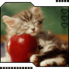 Avatar-animado-Animal-520.gif