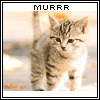 Avatar-animado-Animal-521.gif