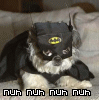 Avatar-animado-Animal-524.gif