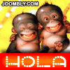 Avatar-animado-Animal-535.gif