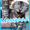 Avatar-animado-Animal-547.gif