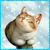 Avatar-animado-Animal-549.gif