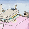 Avatar-animado-Animal-572.gif