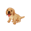 Avatar-animado-Animal-583.gif