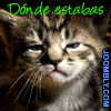 Avatar-animado-Animal-585.gif