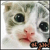 Avatar-animado-Animal-586.gif