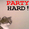 Avatar-animado-Animal-597.gif