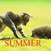 Avatar-animado-Animal-599.gif